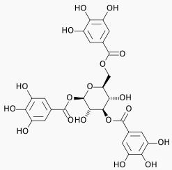 Gallotannin, die bekannteste Tanninvariante. Bild: gemeinfrei