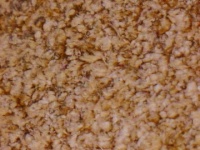 Mikroskopische Aufnahme der Oberfläche eines Velourleders.