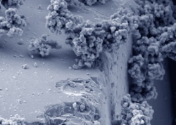 Mikroskopische Aufnahme von Chrom-VI-Verbindungen.