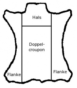 Lage des Hechts bzw. Doppelhechts auf der Tierhaut.