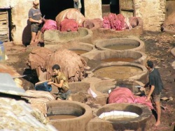 Gerberei und Färberei in Fes, Marokko. Lizenz: GNU 1.2