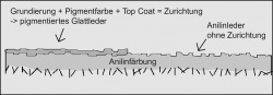 Querschnitt durch ein Glattleder mit und ohne Zurichtung. Anilinleder besitzen keine Pigmentschicht (rechte Hälfte der Grafik).