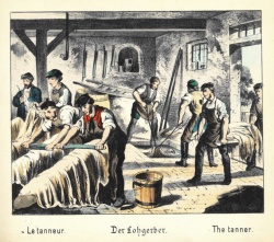 Der Lohgerber. Aus: Was willst du werden? Bilder aus dem Handwerkerleben. Berlin : Winckelmann [c. 1880]. Bild gemeinfrei.