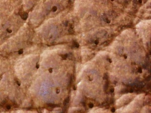 Mikroskopische Aufnahme der Oberfläche eines Büffelleders.