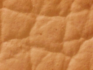 Pigmentiertes Glattleder unter dem Mikroskop. Die Poren des Leders sind sichtbar verschlossen. Feuchtigkeit dringt nur unter Schwierigkeiten in die Oberfläche ein.